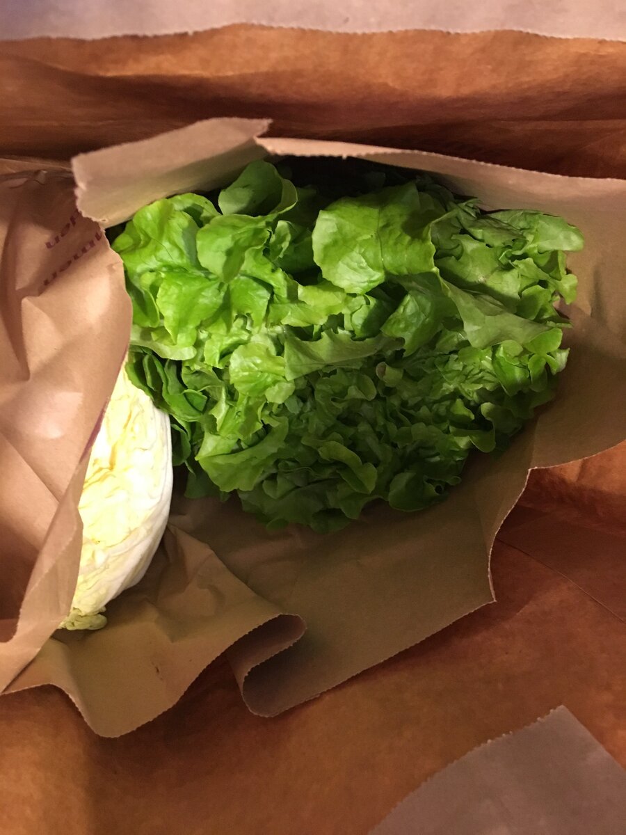 Однажды хозяйка с базара пришла...