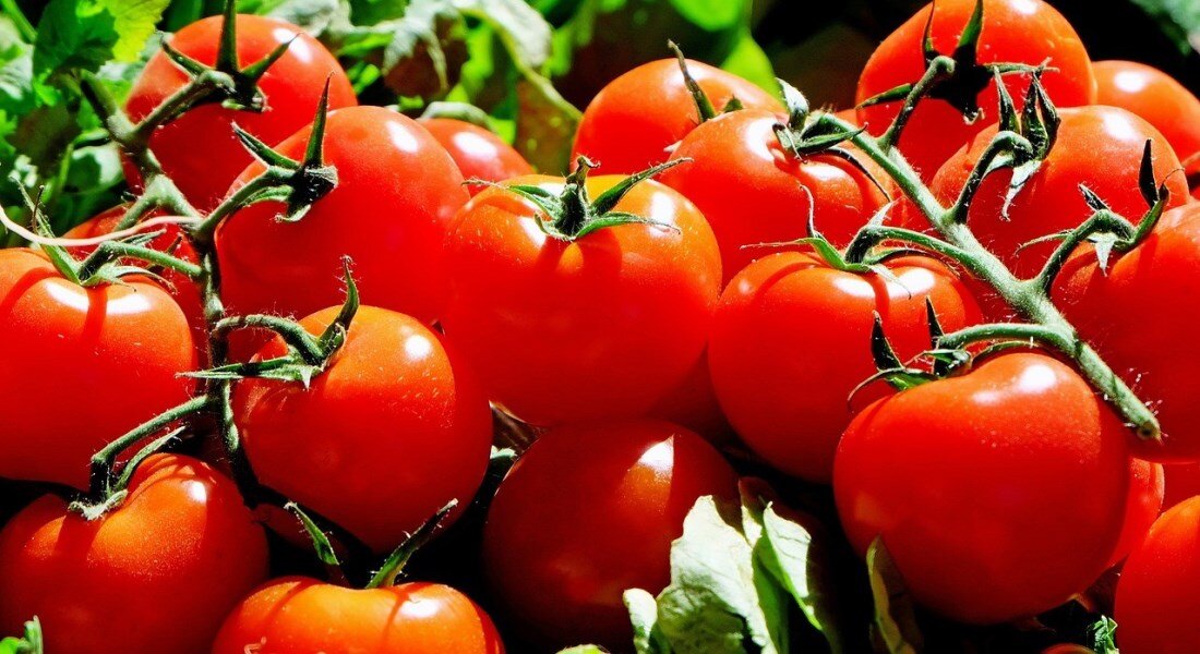 https://grounde.ru/wp-content/uploads/2014/04/tomatoes_1280859_1280.jpg