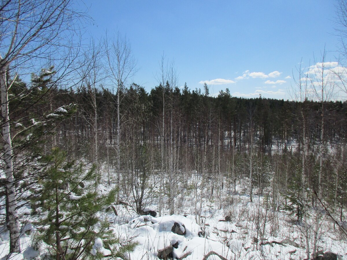 Склон большого увала покрыт гигантскими камнями