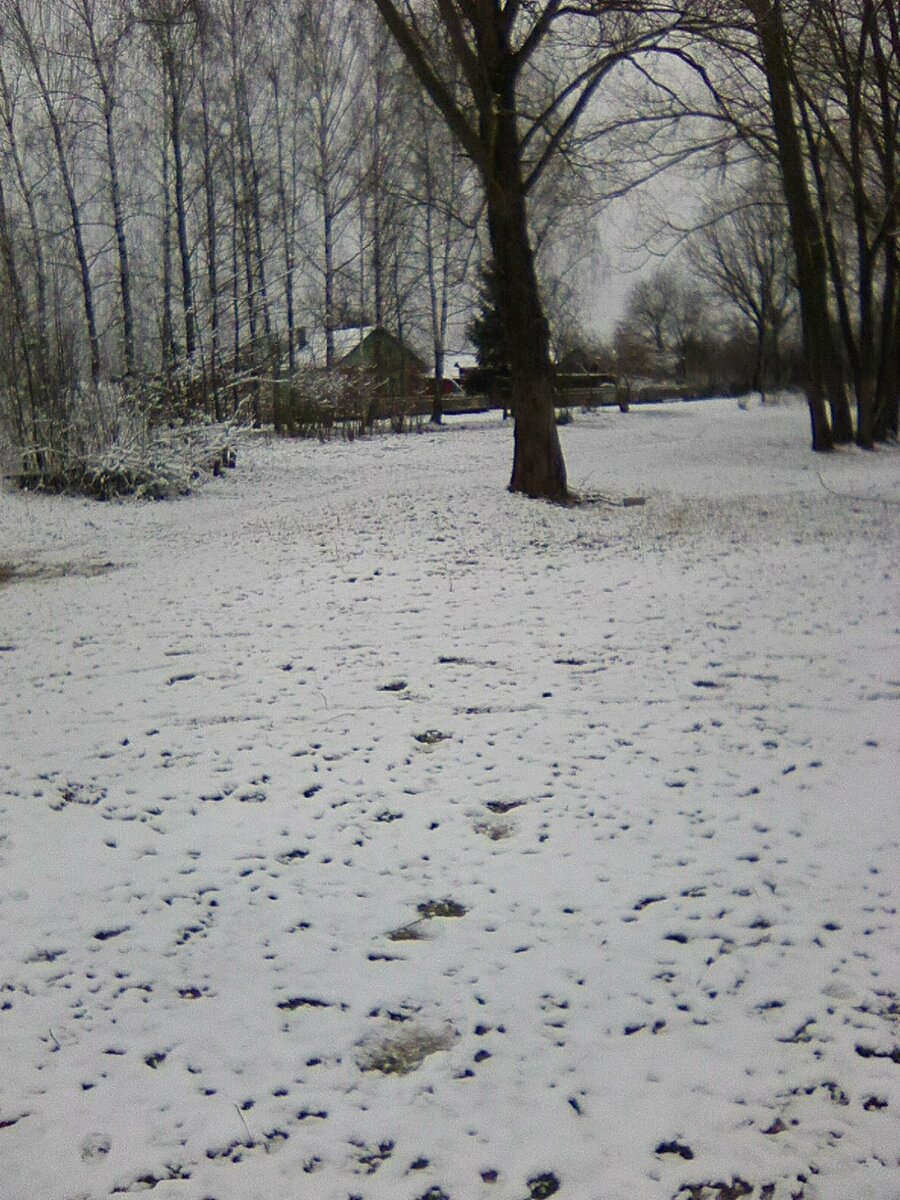 Зима в селе.