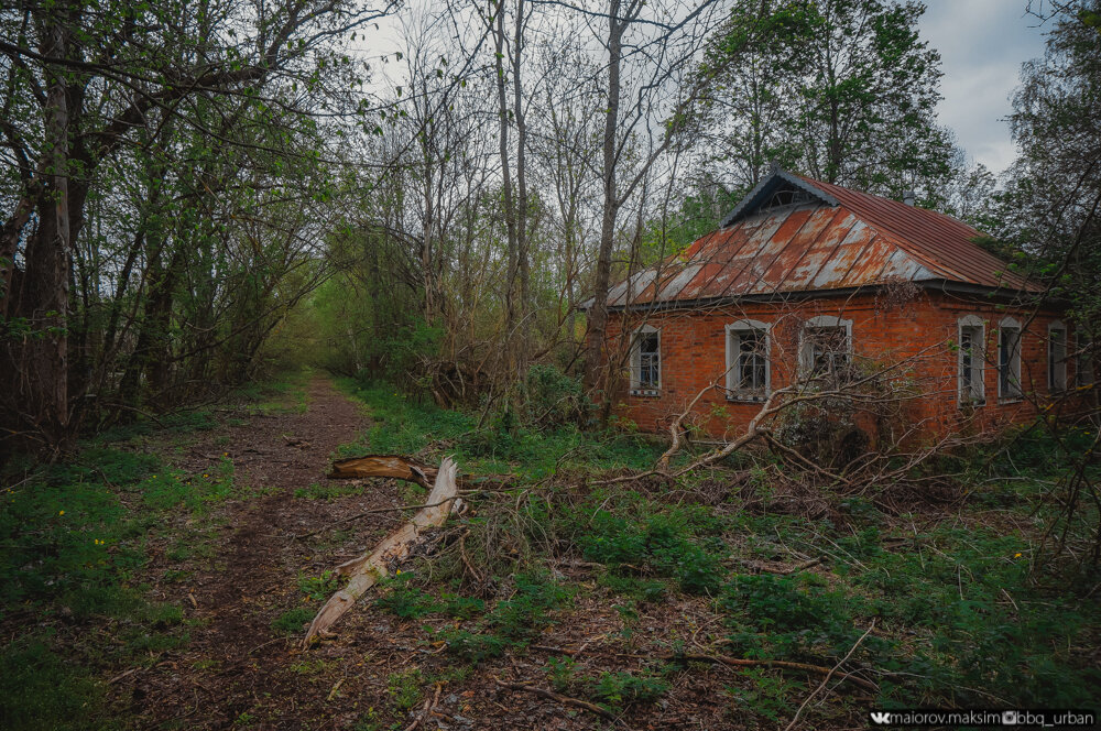 Самое уютное село Чернобыльской зоны отчуждения. Остался тут на 2 дня, рассказываю что происходит вокруг