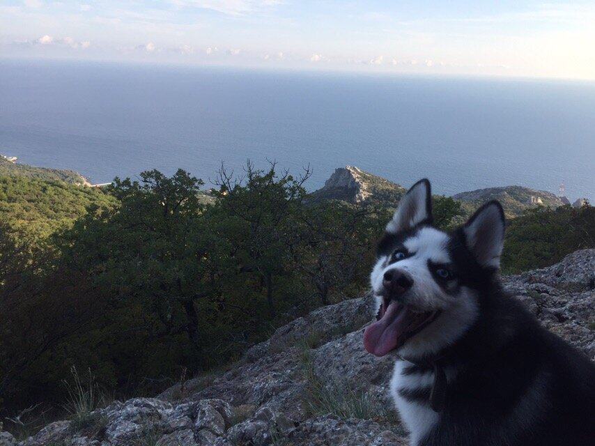 В начале подъема. На горизонте море и Южное побережье Крыма