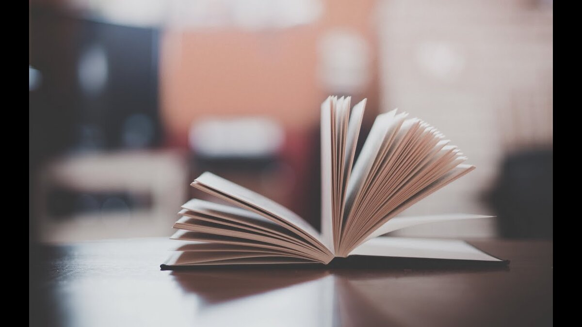 Фото взято в качестве иллюстрации 