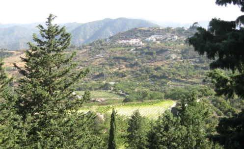 Центральная часть острова: виноградники в окружении гор Троодос