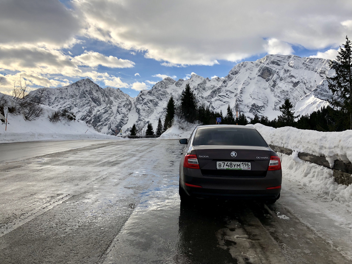 Фото с Яндекс.Картинки