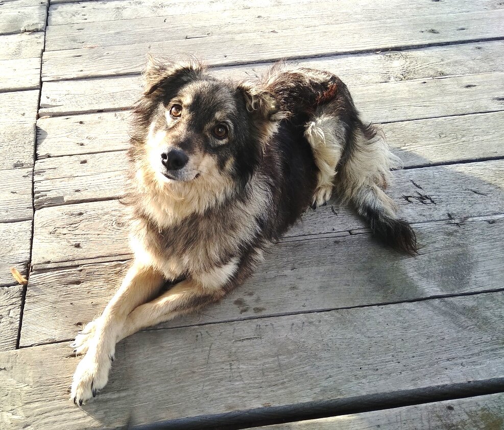 Вот и она - верная боевая подруга Бетси