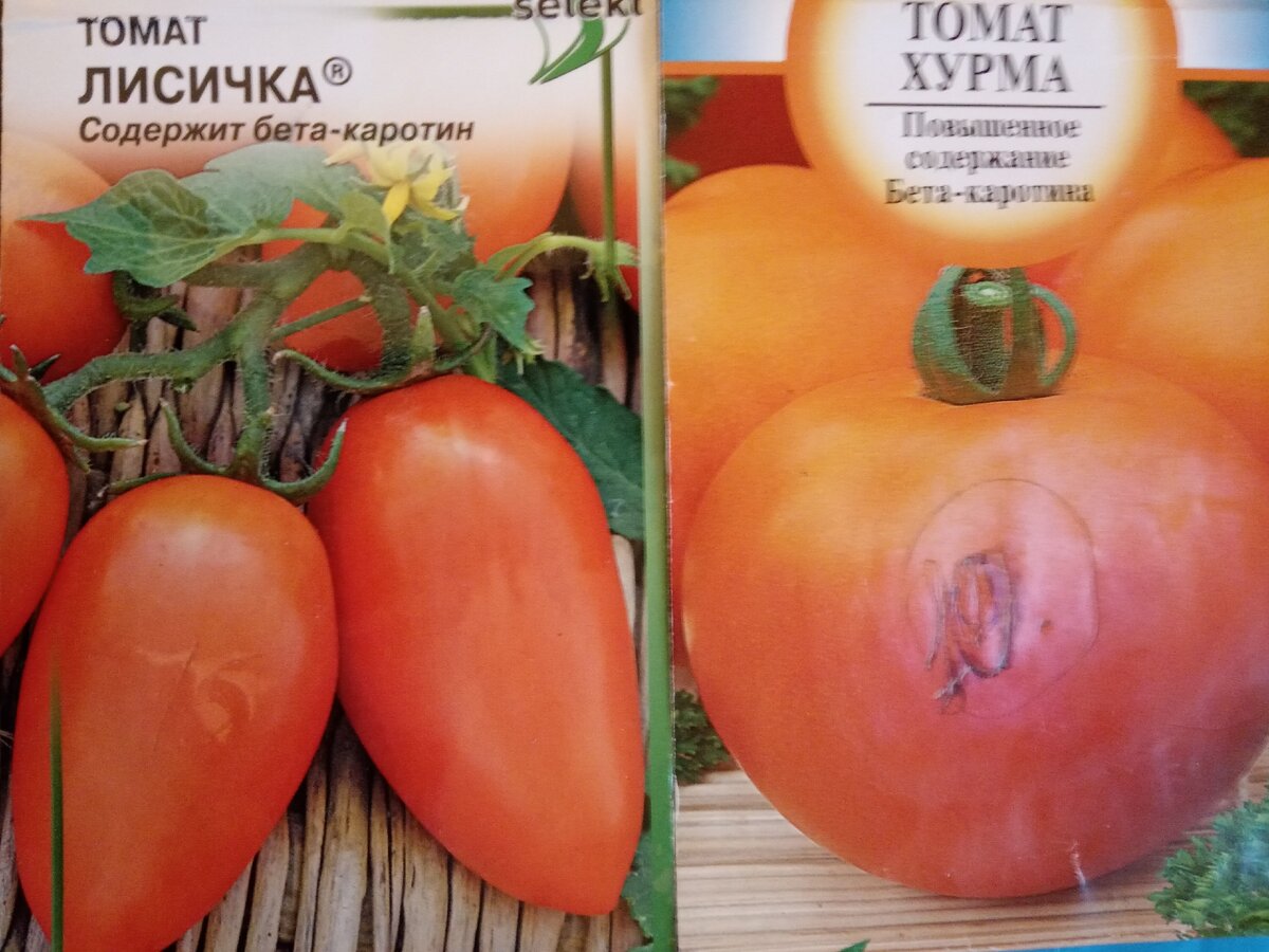 Томат Лисичка и томат Хурма