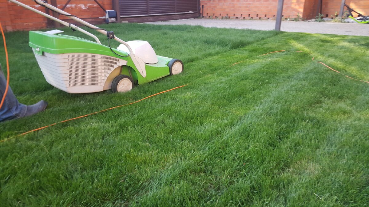 Покос газона только газонокосилкой с травосборником