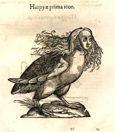 Гарпия. Гравюра из книги Улисса Альдрованди "История чудовищ"