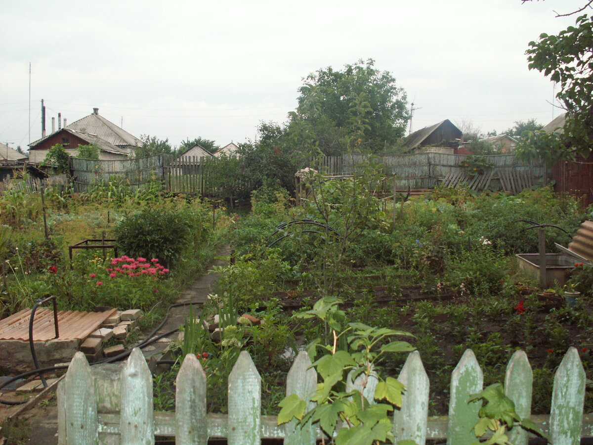 2006 год