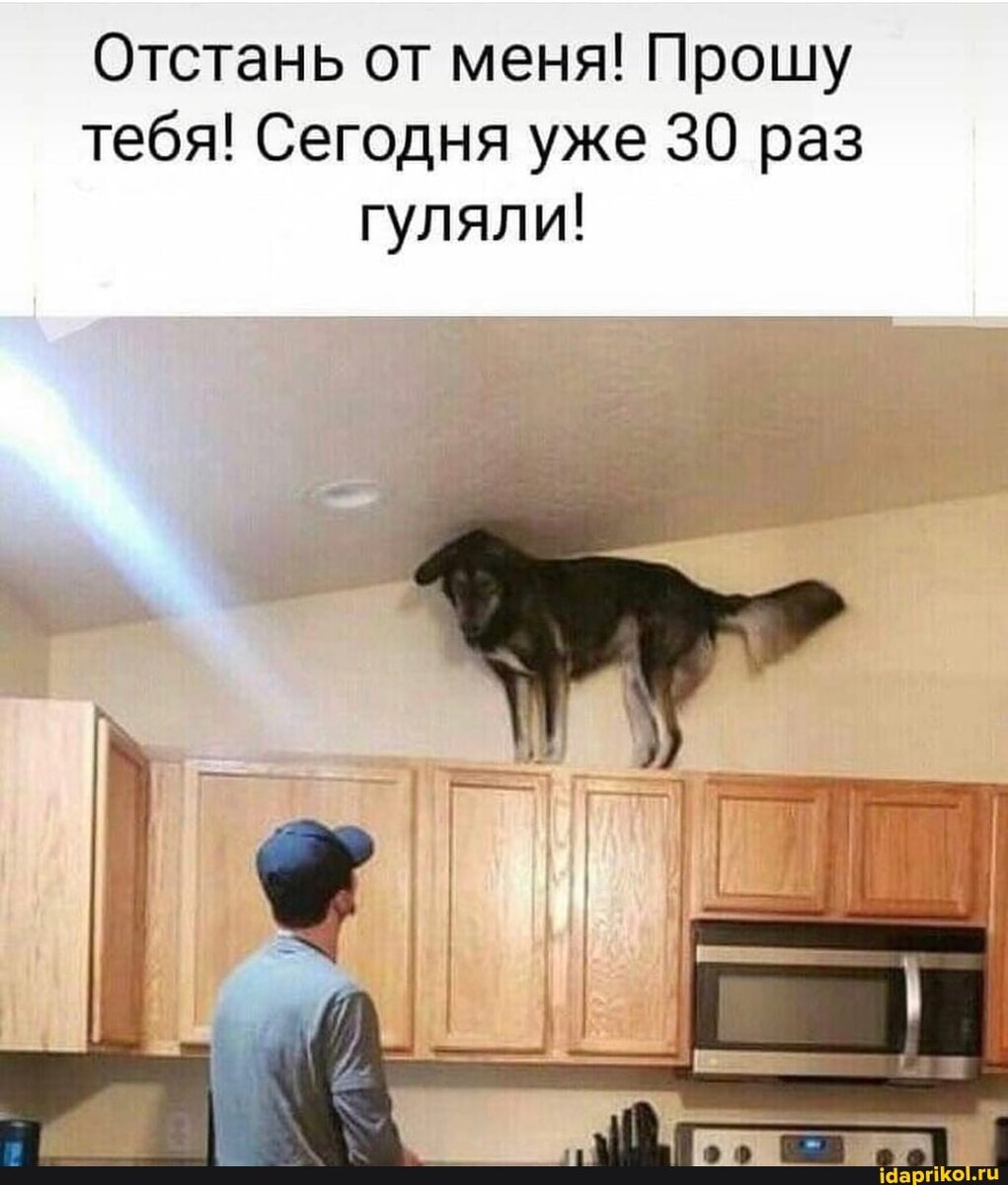 Источник:idaprikol.ru