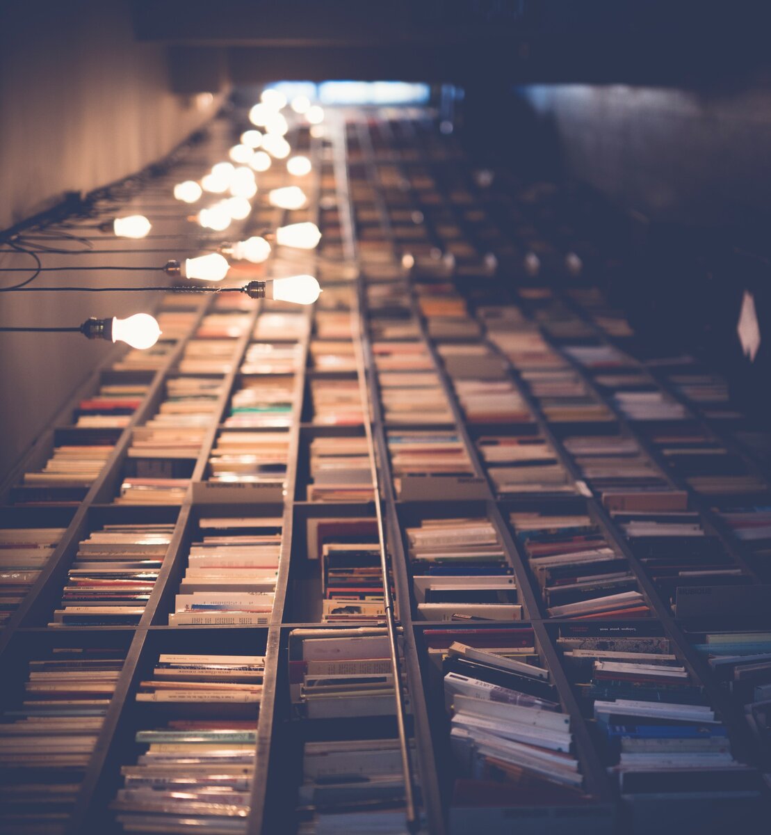 То с чего стоит начинать делать ставки на спорт - книги!