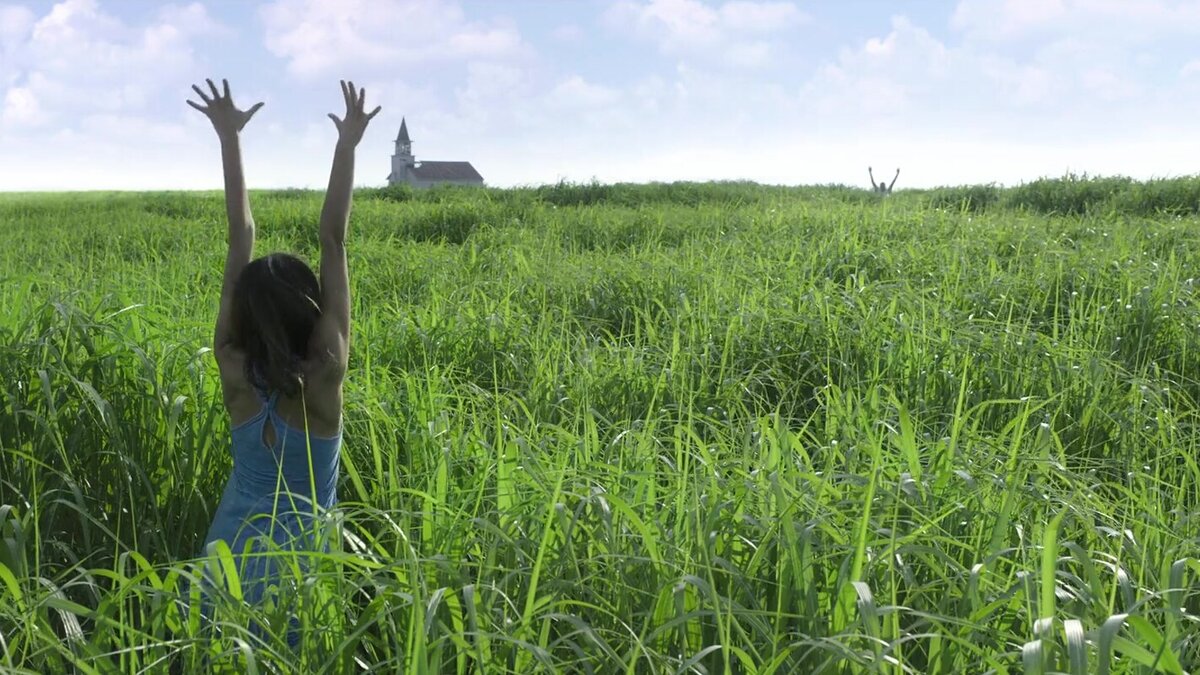 Кадр из фильма "В высокой траве". Рейтинг КиноПоиск 5.8, рейтинг imdb 5.4.