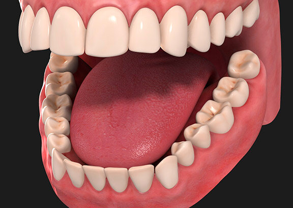 Зубы человека такие же сильные, как и зубы акулы.