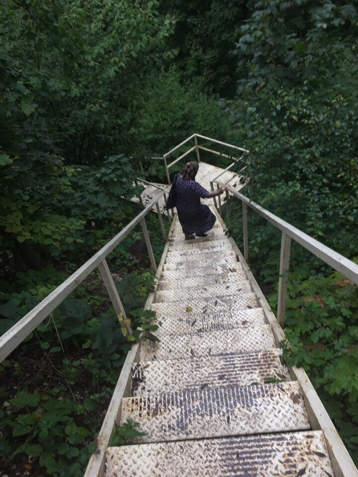 Дивногорье в двух часах езды от Воронежа. Дивногорье - это два пещерных монастыря в меловых горах со своими подземными ходами, меловые большие и малые дивы, древняя крепость на берегу рек Дон и Тихая Сосна, селище, могильник, каньон, девять километров белых тропинок и дорог и мешочек меловых камушков на память. ЛИЧНОЕ ФОТО.