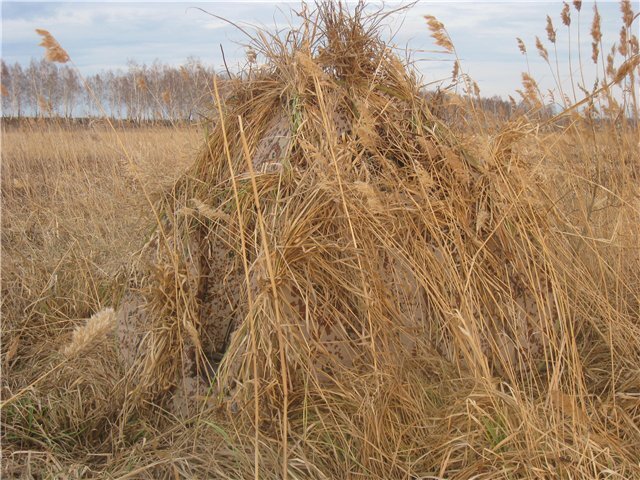 Самодельный скрадок на тетерева (фото найдено на просторах интернета) 