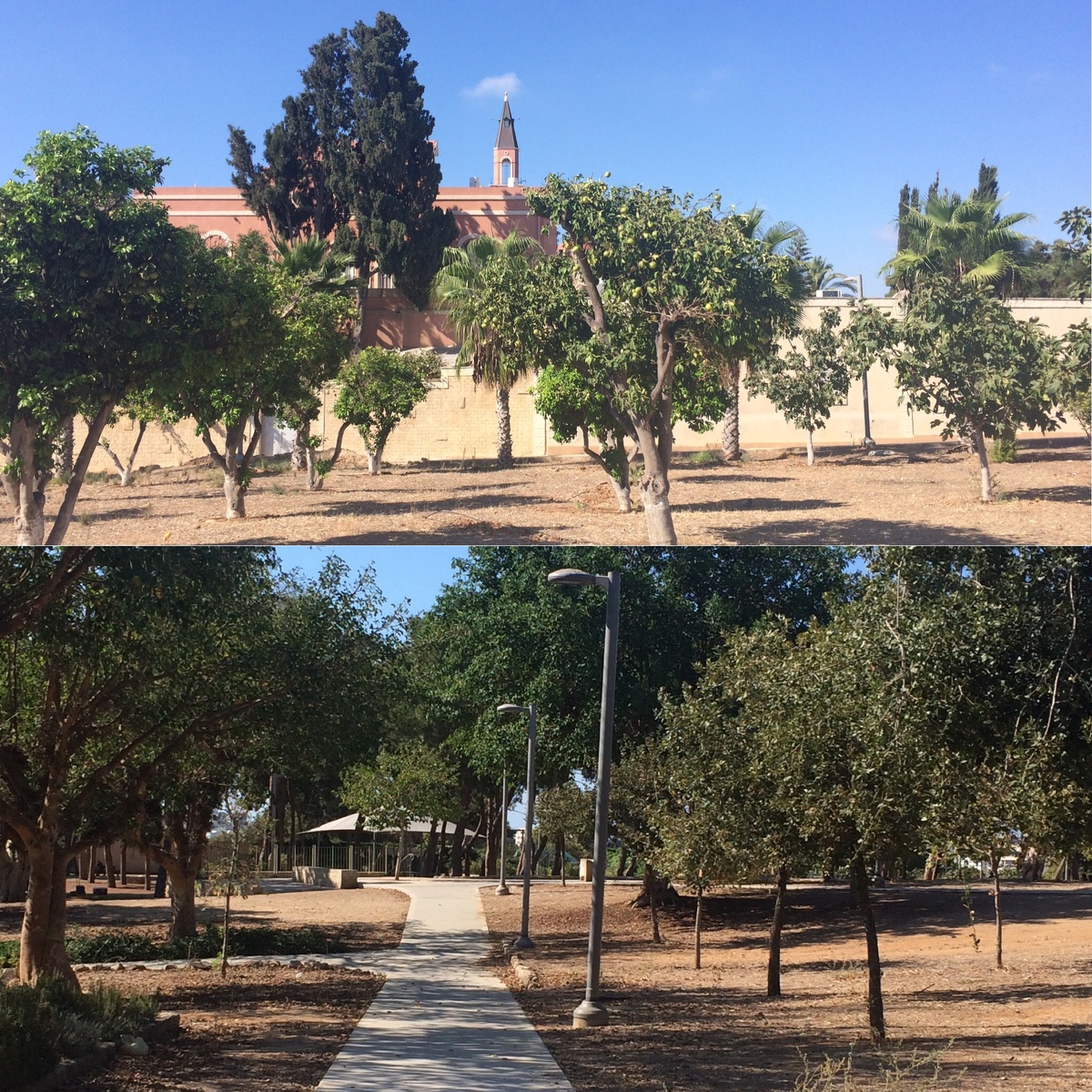 На территории открытой парковой зоны - ботанического сада - располагается православный храм, к нему со всех сторон ведут тропинки вдоль красиво высаженных деревьев разных сортов 