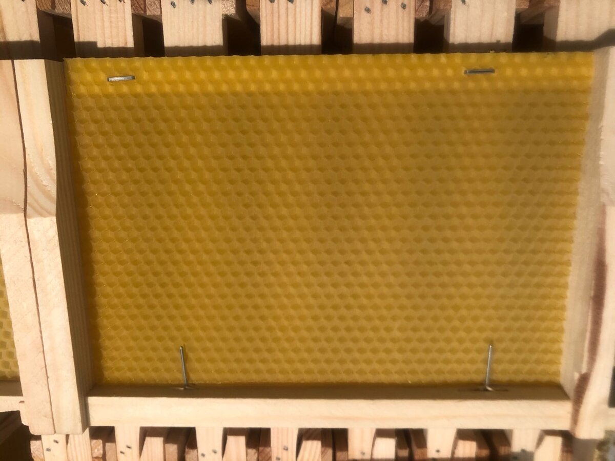 источник - https://vk.com/buckfast_russia