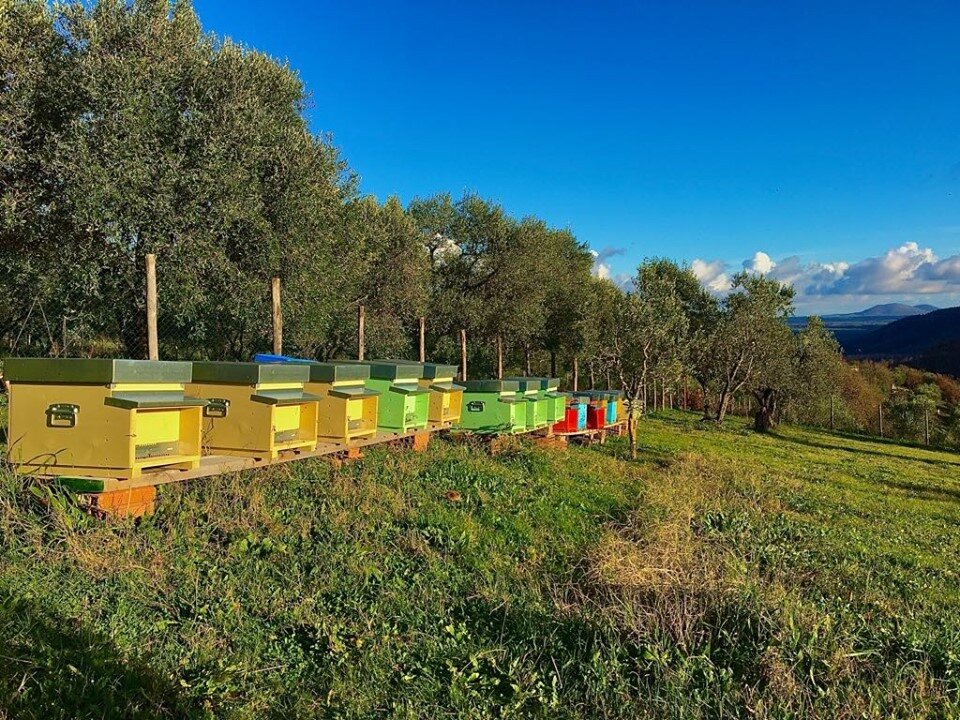 тосканские ульи