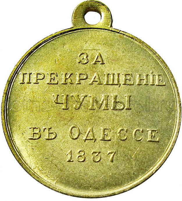 Фотография взята из сети интернет