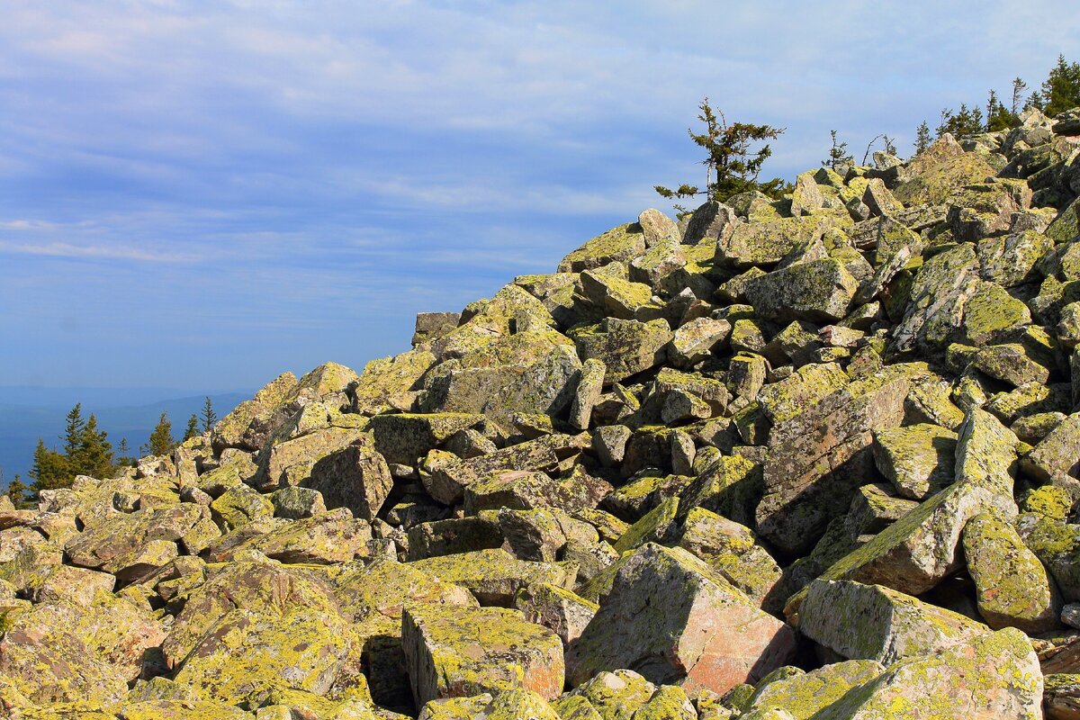 Курумник на склонах Круглицы. Желтый цвет камням придает растущий на них лишайник