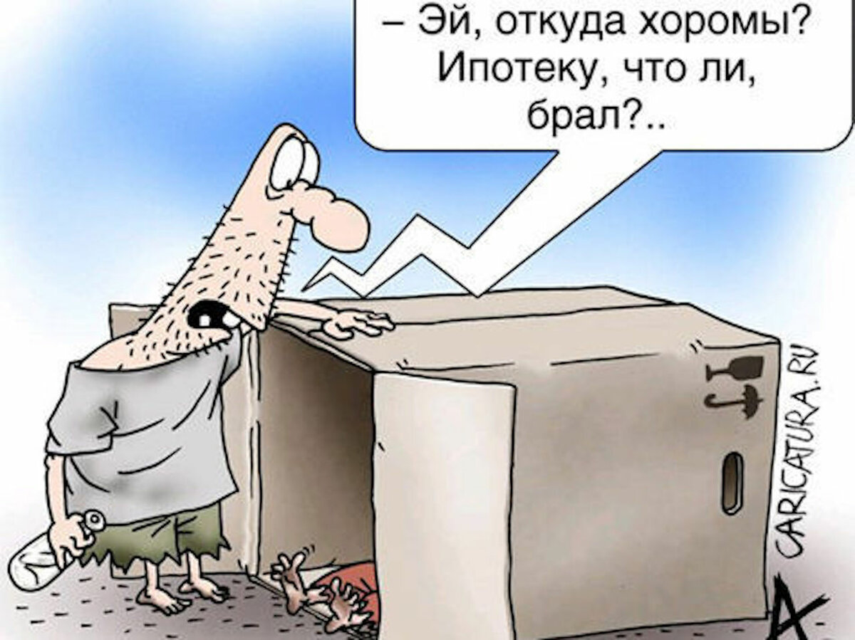Фото из открытых источников. Яндекс. Картинки