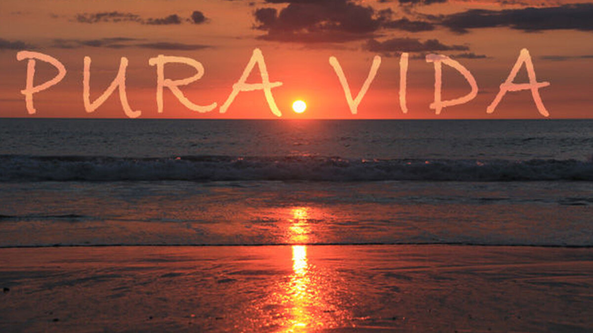 Чистая жизнь.