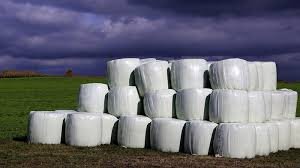  запечатаны в плеку специальную и если парвёшь штараф

