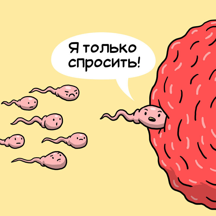 Иллюстратор Leonid Khan