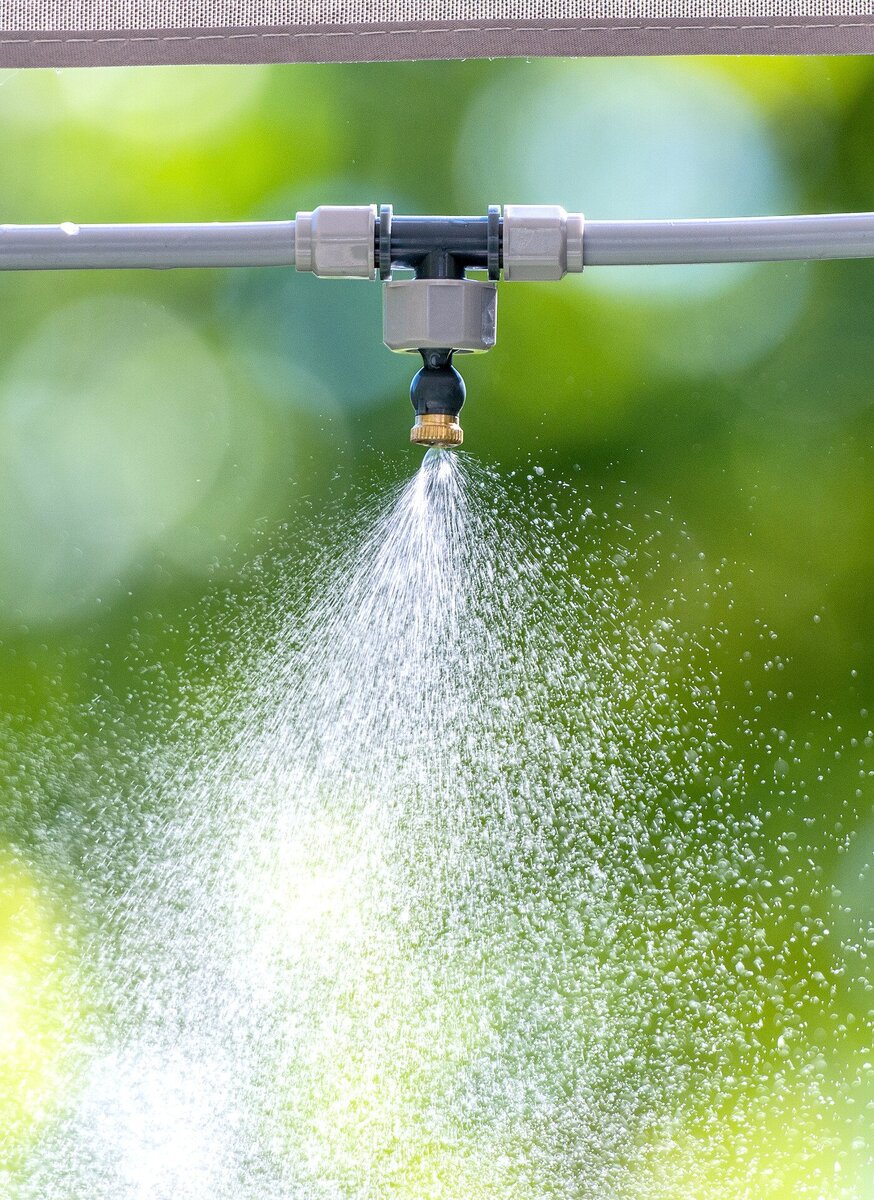 система туман