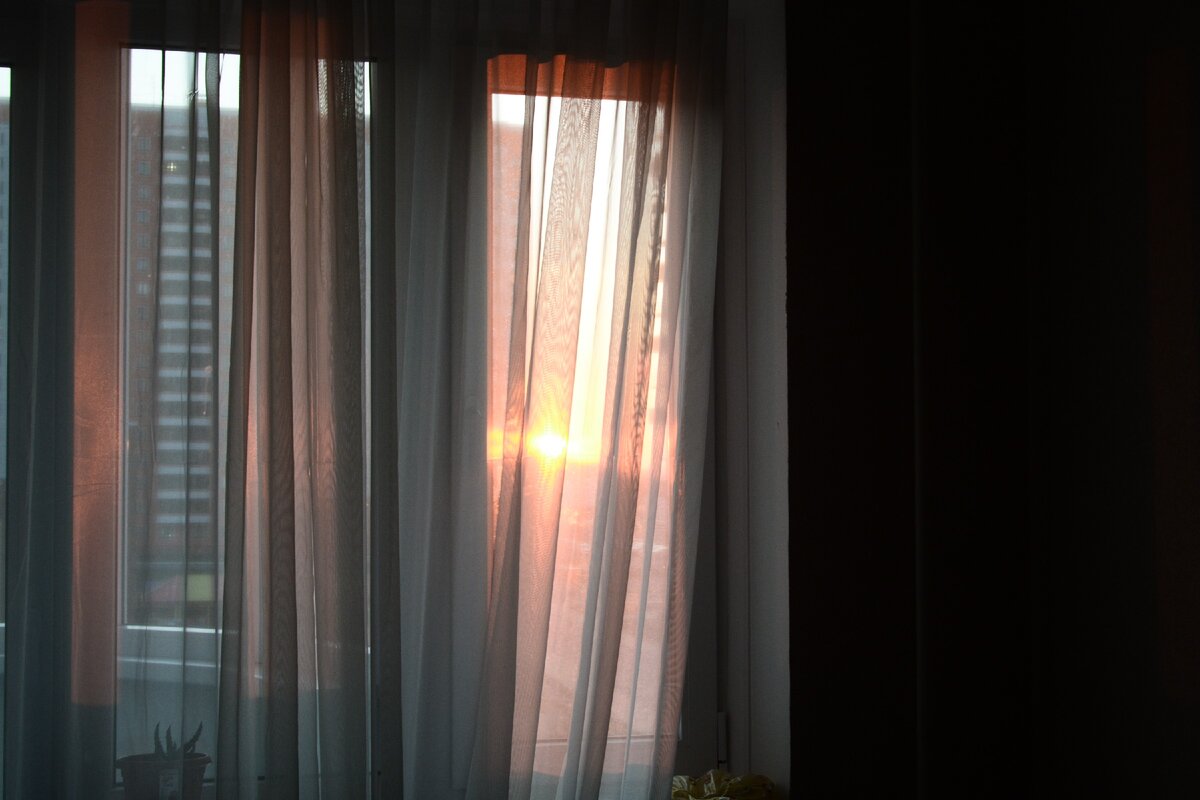 Личное фото.