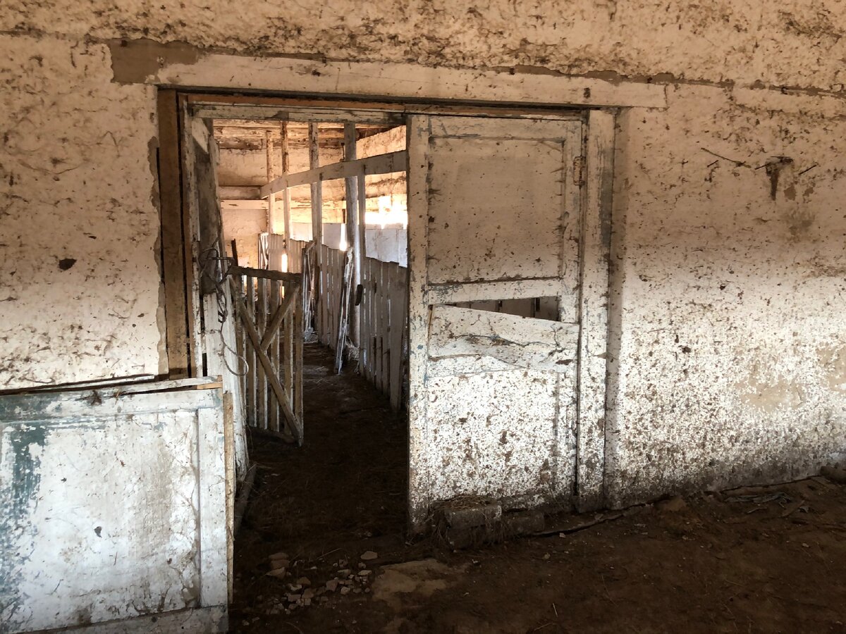 Дверь в помещение для телят