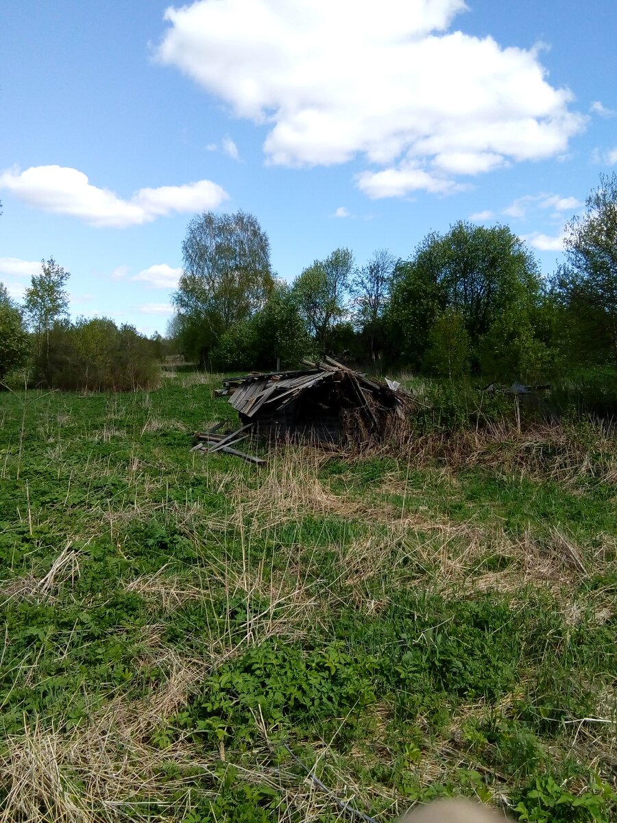 Остатки бани