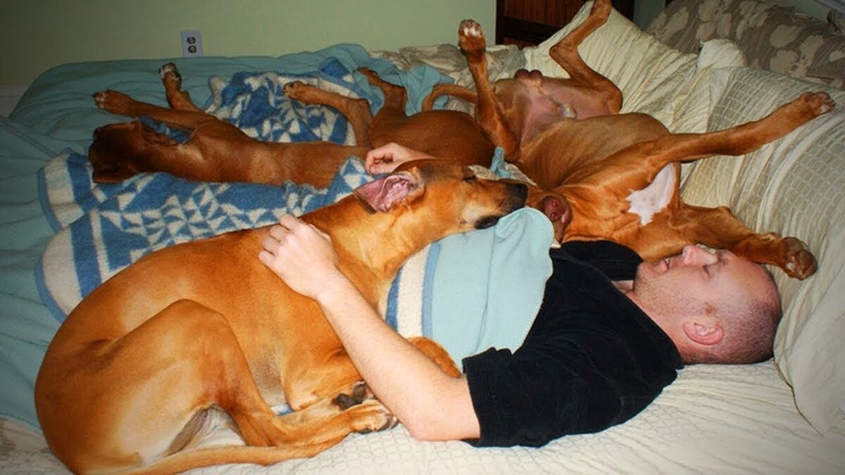 Фото из сети