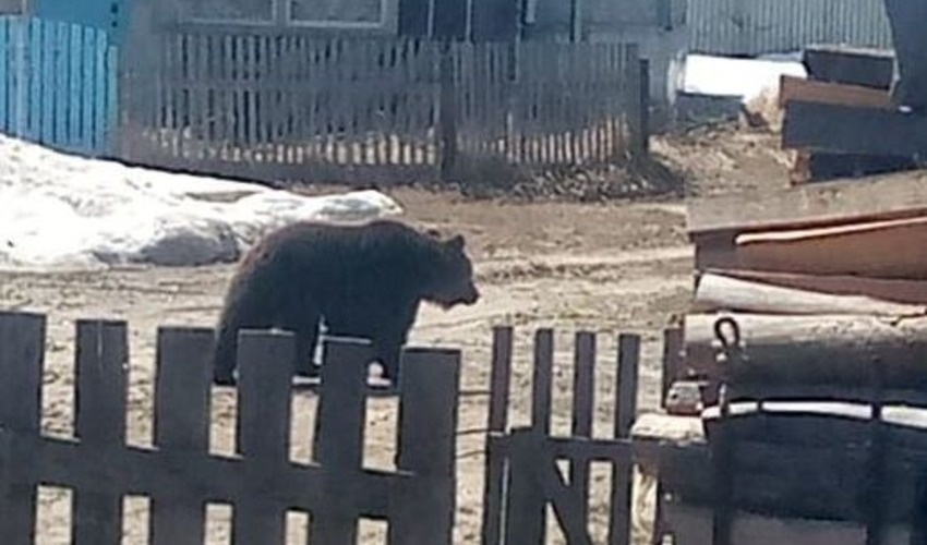 Фото: WhatsApp «Охинские сплетни»