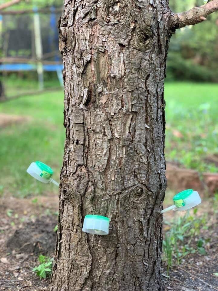 Фото из группы в FB