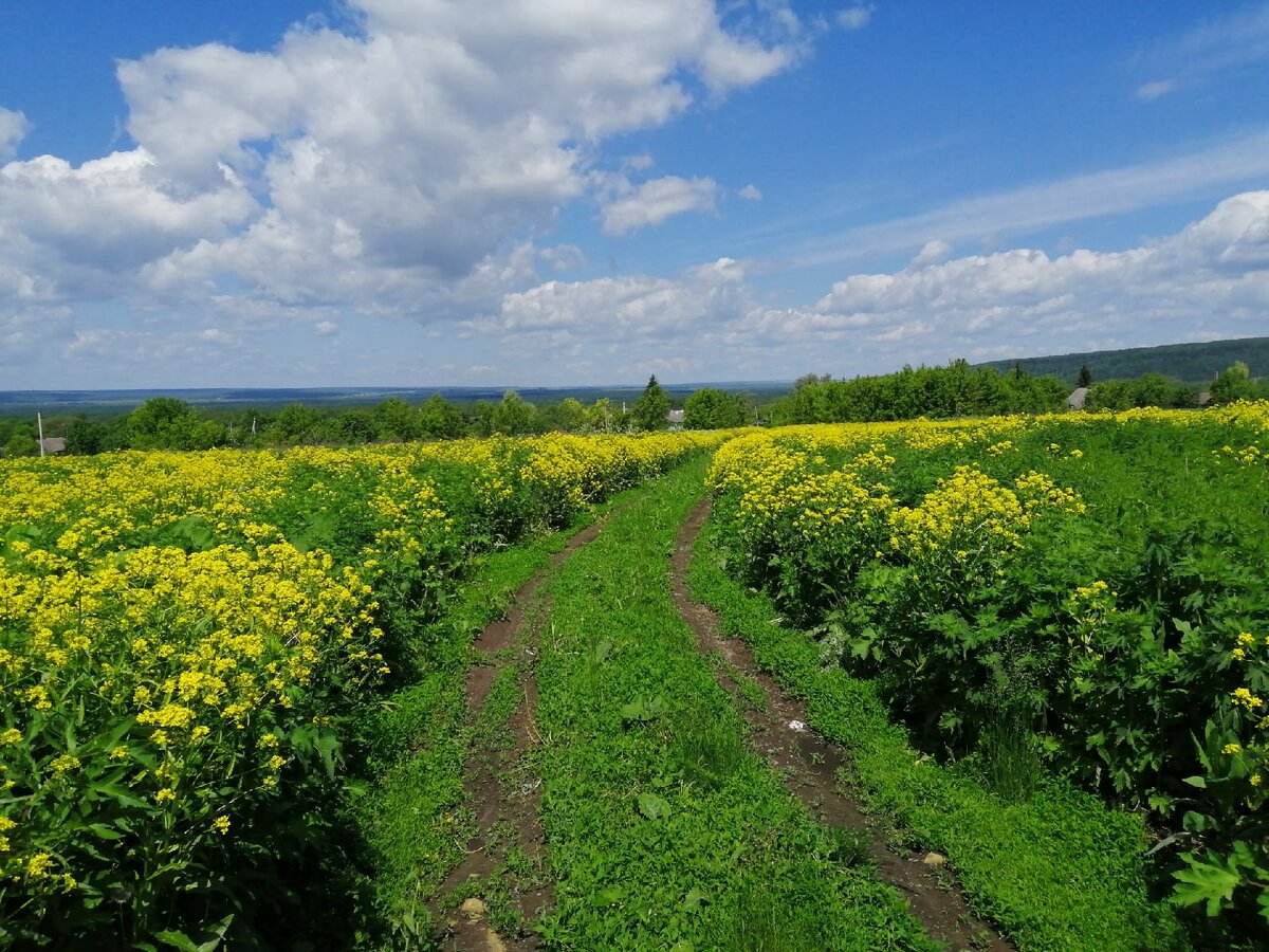 Фото автора.