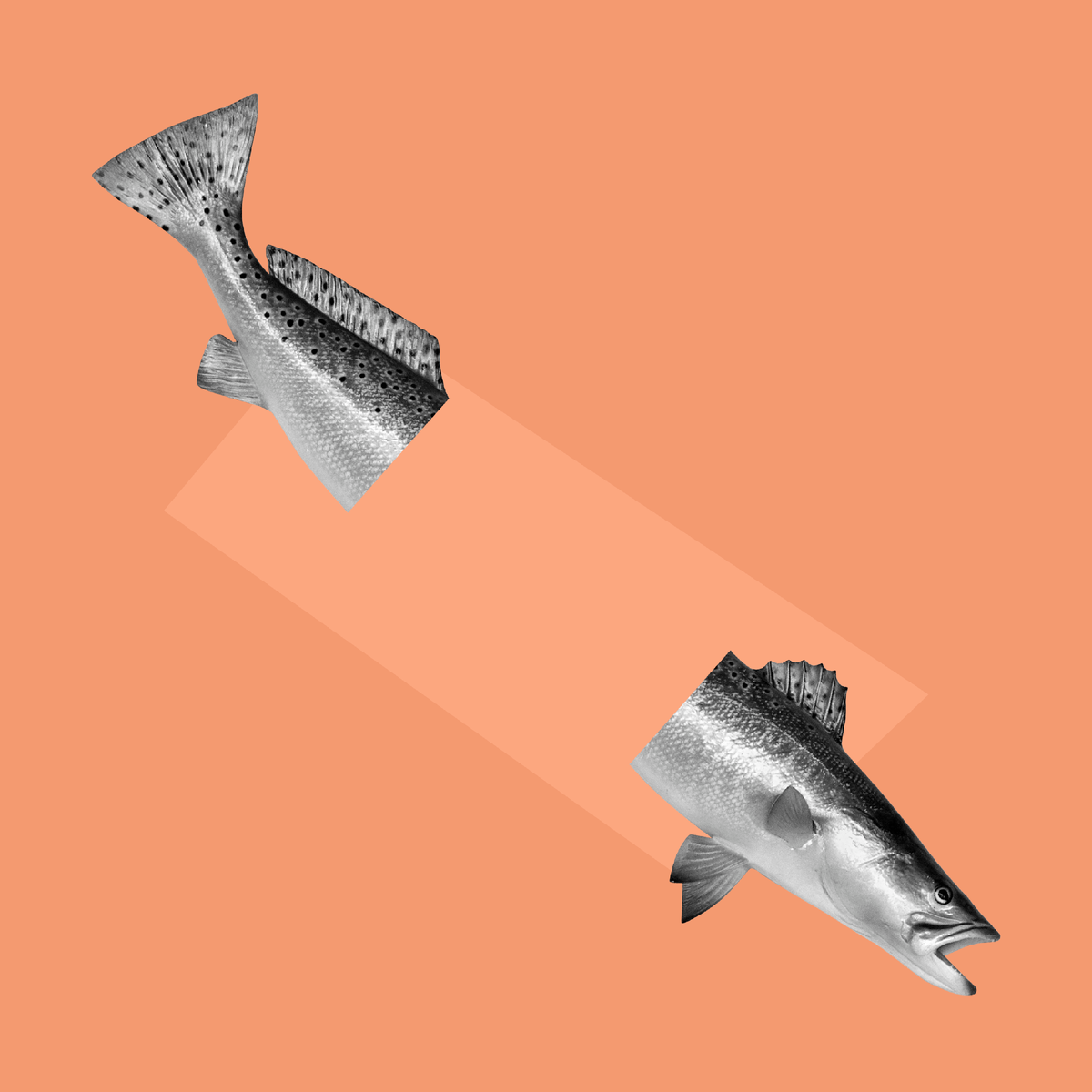 Авторская мусорная иллюстрация