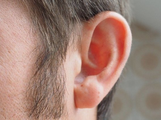 Взято из открытого источника