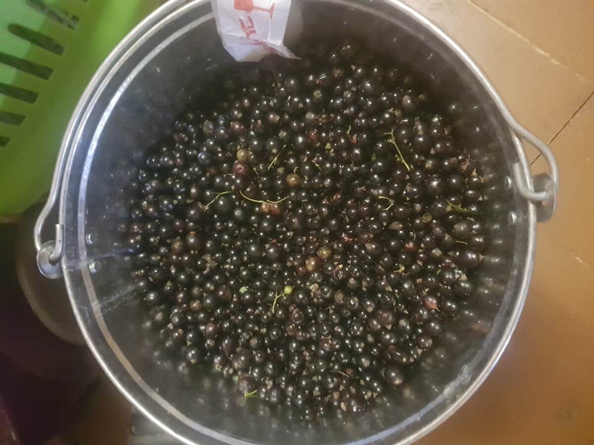 Последнее ведро