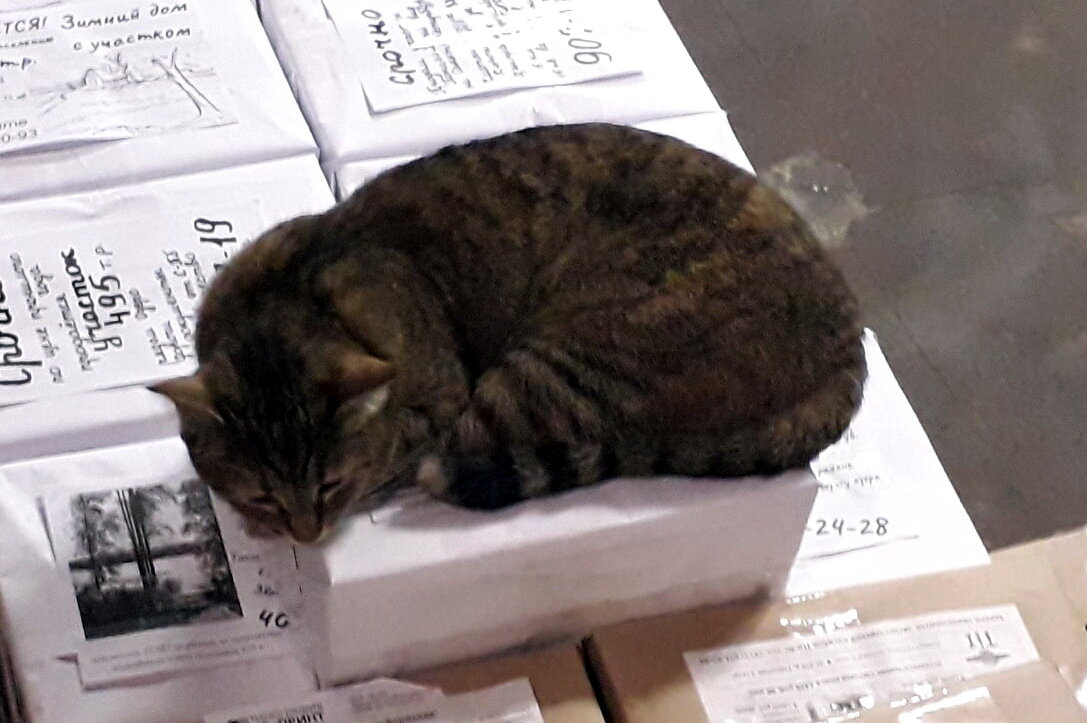 Наш охранник)