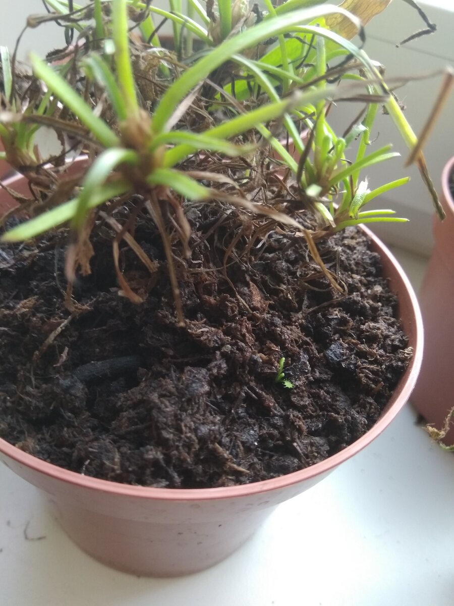 А вот здесь виднеется маленький бонус