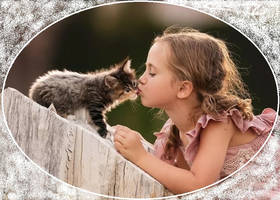 Вот такая любовь)))