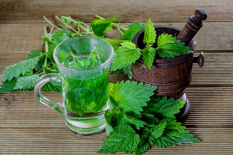 Фото из открытого источника