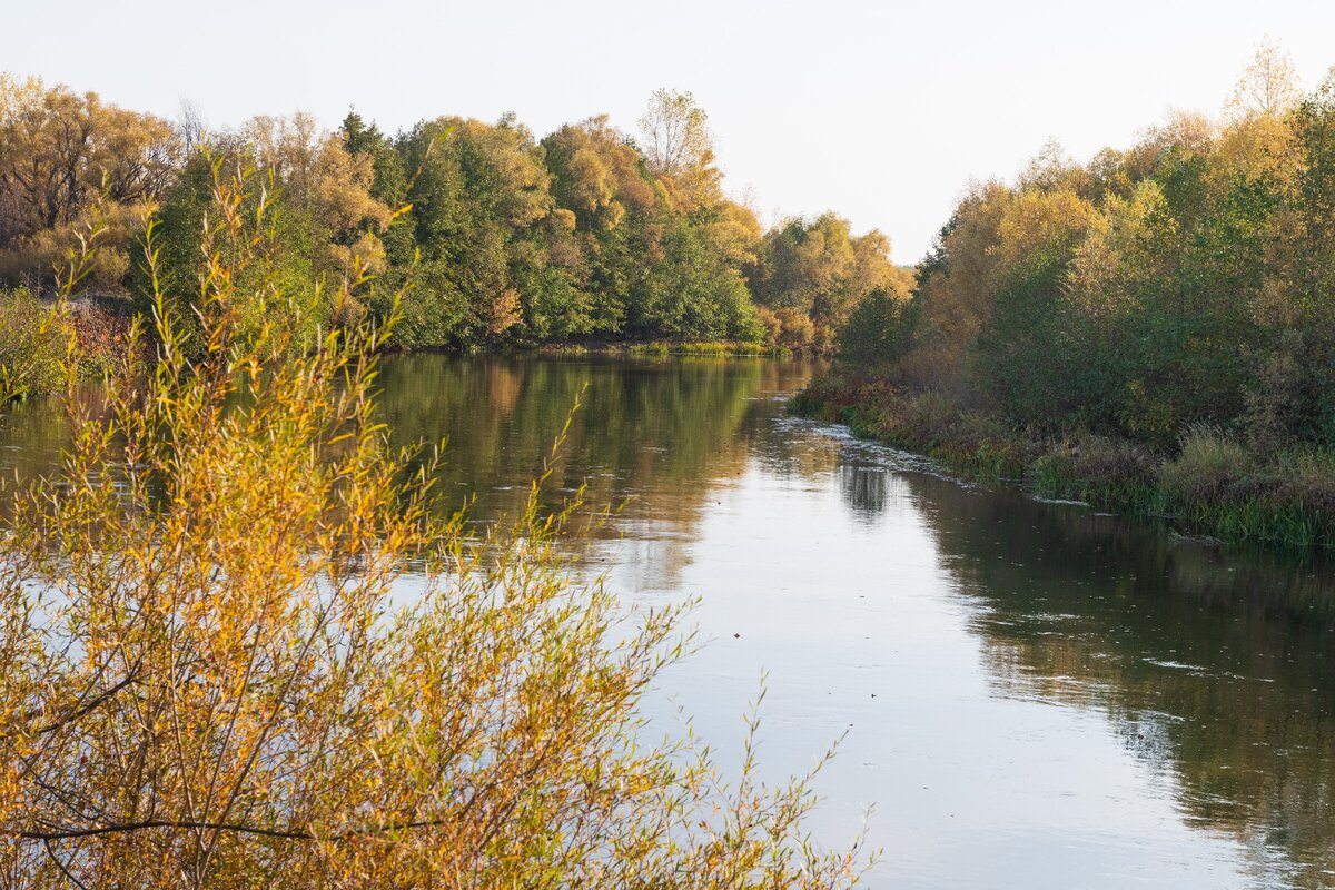 Р. Терешка, 2020 г.