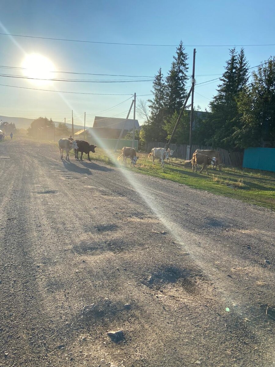 Возвращаются по домам)