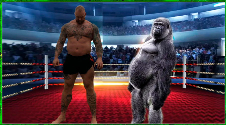 Бьёрнссон против гориллы