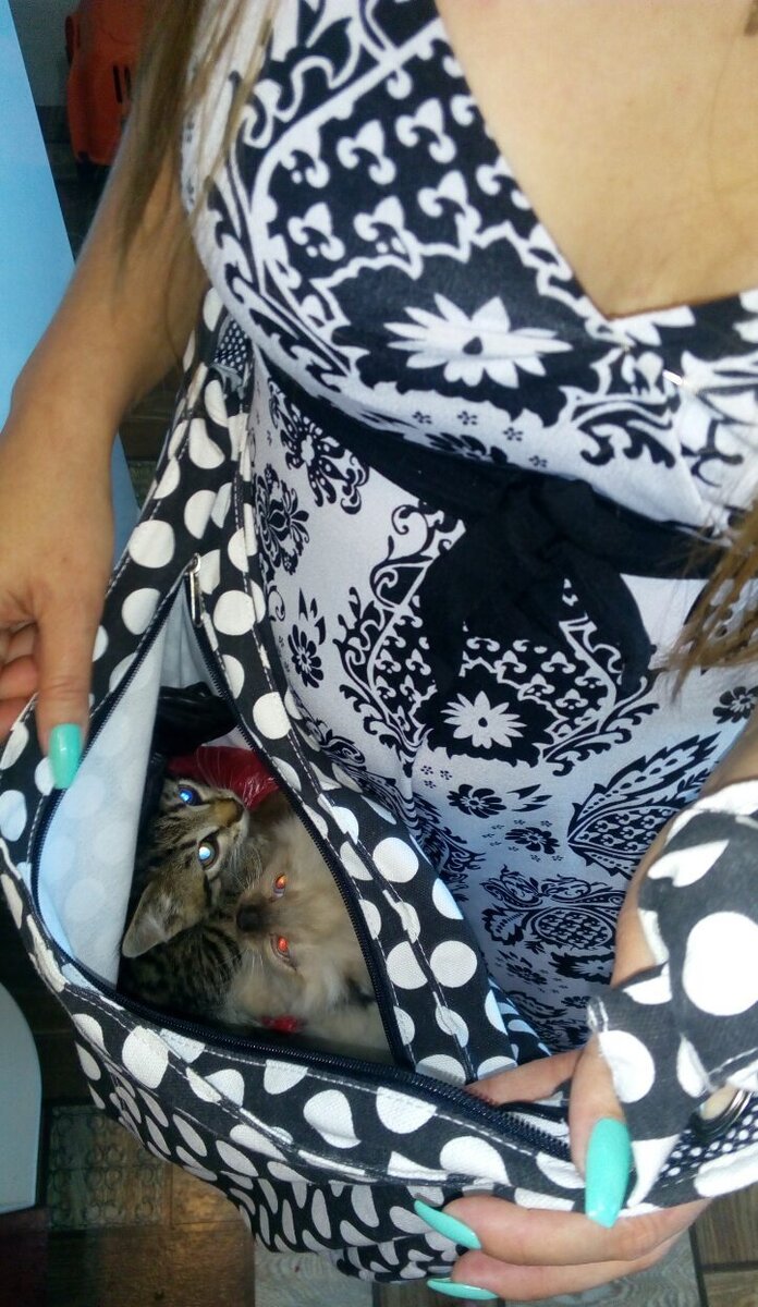 Пришлось нести в пляжной сумке 