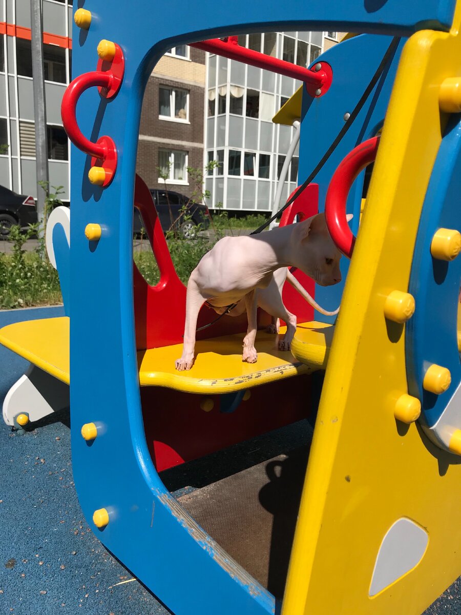 Вот, гуляем на детской площадке 😁