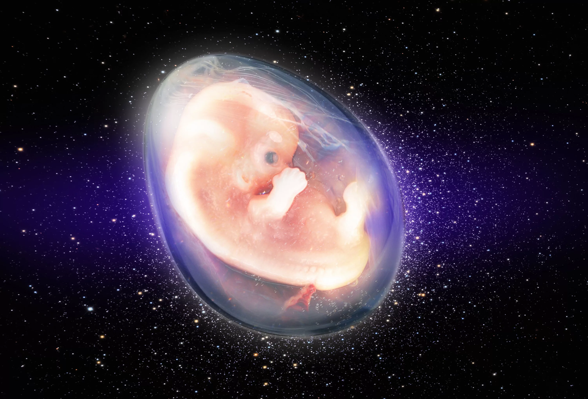 Если паре повезло, и они смогли зачать ребенка, то развиваться плоду будут мешать множество факторов